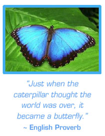 caterpilar-become-butterfly