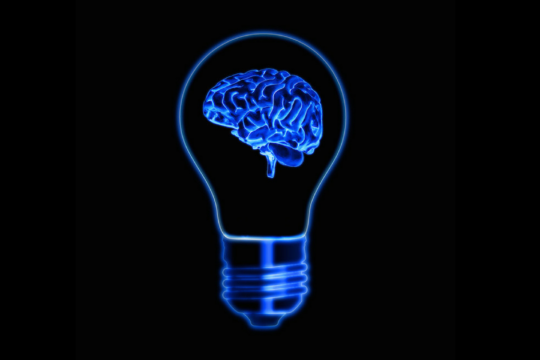 brain light bulb